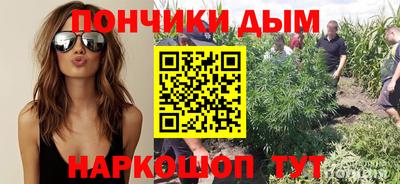 амф Гай