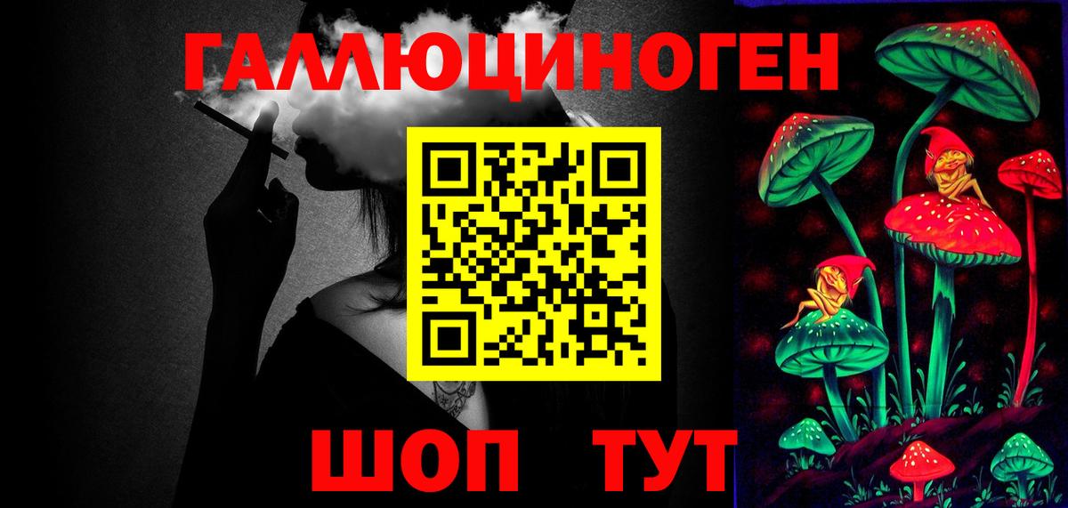 Галлюциногенные грибы Psilocybine cubensis  Вход с VPN  Горно-Алтайск  Псилоцибиновые грибы Psilocybe 
